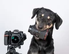Fotopersonal.