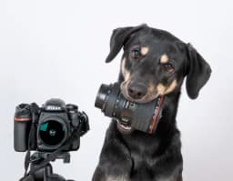 Fotopersonal.